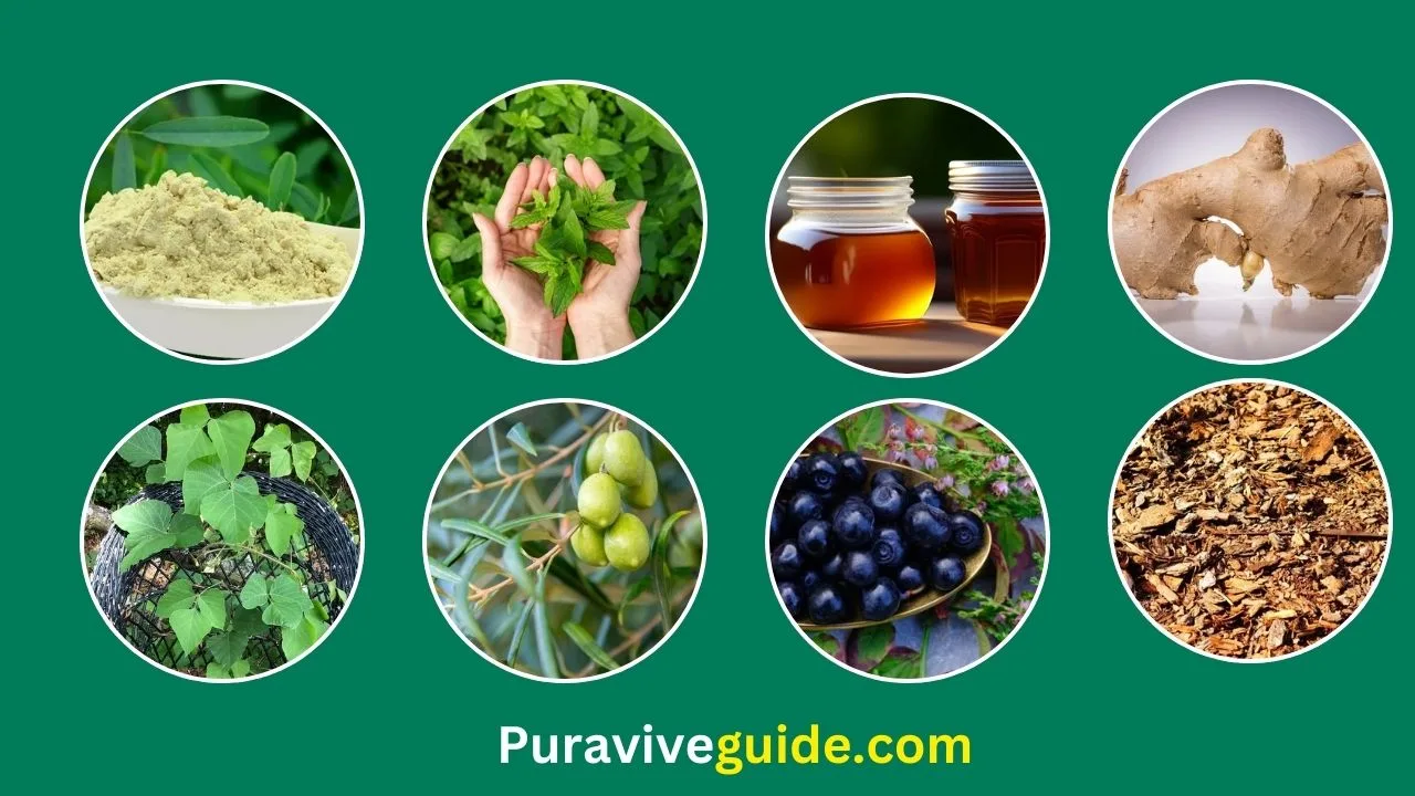 Puravive Ingredients