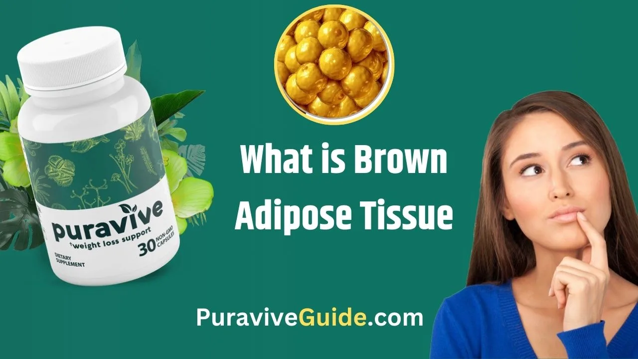 What is Brown Adipose Tissue