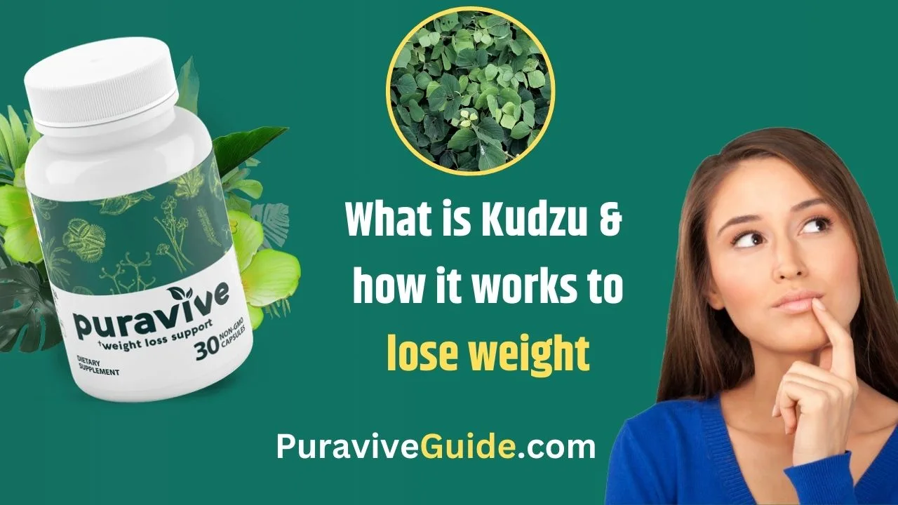 What is Kudzu and how it works to lose weight - Puravive Guide